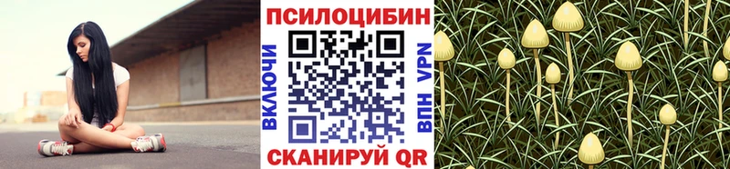 Псилоцибиновые грибы мицелий  купить   Окуловка 